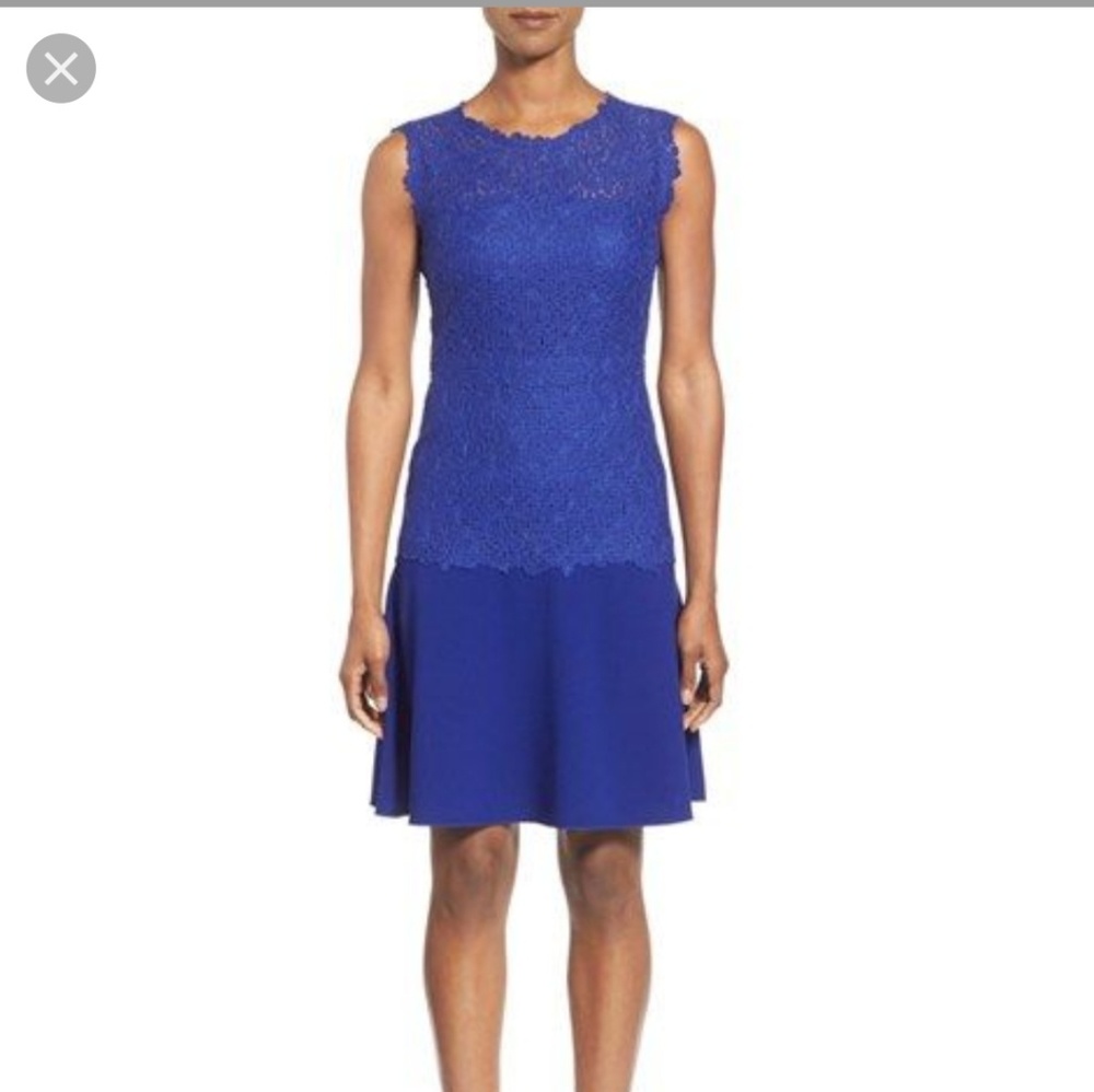 Elie Tahari Adira Drop Waist Lace A-line dress